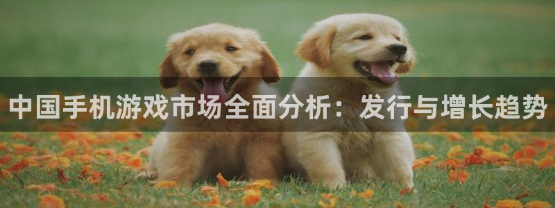 usdt钱包app有哪些：中国手机游戏市场全面分析：发行与增长趋势