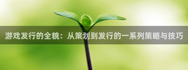 usdt的区块浏览器网站：游戏发行的全貌：从策划到发行的一系列策略与技巧