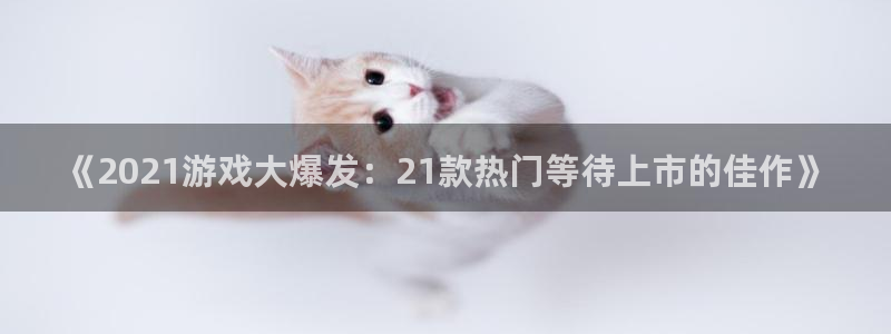 2021注册送usdt交易所：《2021游戏大爆发：21款热门等待上市的佳作》