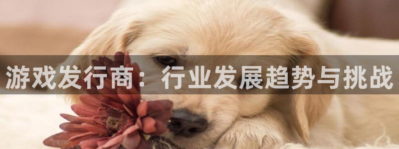 为什么会冻结usdt：游戏发行商：行业发展趋势与挑战