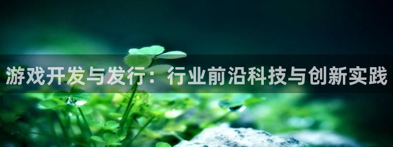 usdt二维码怎么充值：游戏开发与发行：行业前沿科技与创新实践