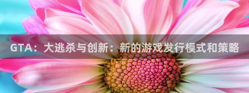 usdt余额不足：GTA：大逃杀与创新：新的游戏发行模式和策略