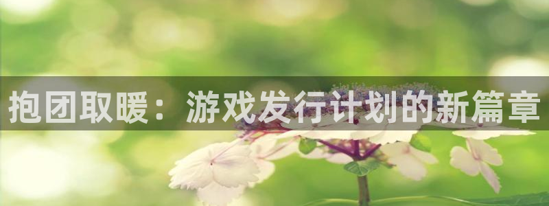 usdt交易记录查询