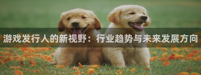 usdt交易平台违法吗：游戏发行人的新视野：行业趋势与未来发展方向