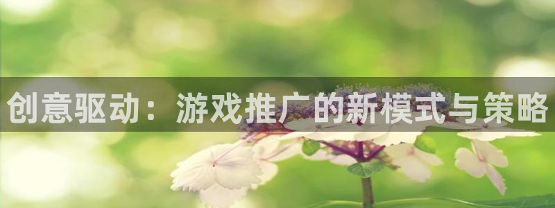 usdt交易图片：创意驱动：游戏推广的新模式与策略