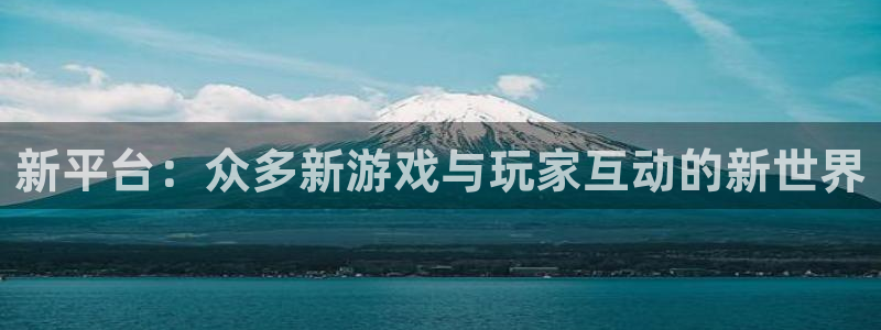 usdt钱包官方网：新平台：众多新游戏与玩家互动的新世界