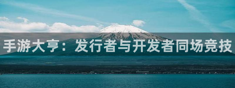 怎么查钱包地址有多少usdt：手游大亨：发行者与开发者同场竞技